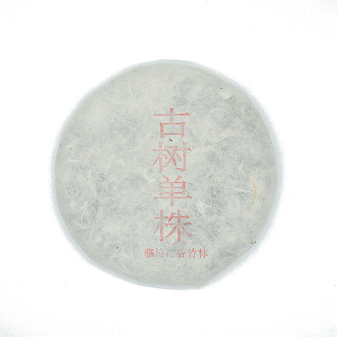 Raw Puer: Xiang Zhu Single Tree Spring 2019 - 100g - Extremely LIMITED