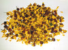 Snow Chrysanthemum