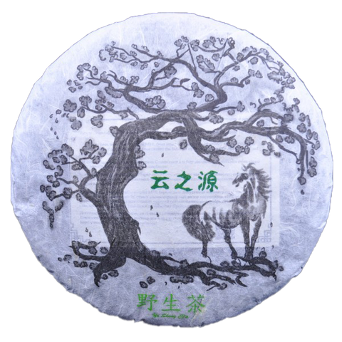 Raw Puer: Dehong Ye Sheng Wild Tree Purple Tea 2014 - LIMITED
