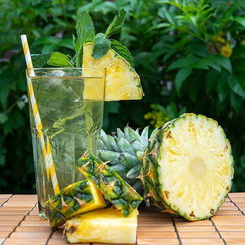 Tropical Green Iced Tea Kit