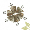 16ct Bio-Sachet Box - Tropical Green
