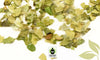 Yerba Mate